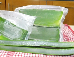 Aloe Vera Leaf Vacuum Sealed
